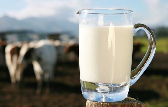 La leche dominicana y la productividad como una decisi&oacute;n de pa&iacute;s