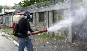 Salud P&uacute;blica reporta cero casos de c&oacute;lera, dengue, malaria y COVID-19 en la semana 13 de 2026