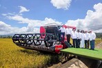 Gobierno destaca producci&oacute;n r&eacute;cord: RD es el mayor productor de arroz en el Caribe y Centroam&eacute;rica
