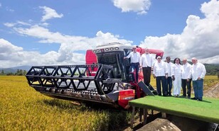 Gobierno destaca producci&oacute;n r&eacute;cord: RD es el mayor productor de arroz en el Caribe y Centroam&eacute;rica