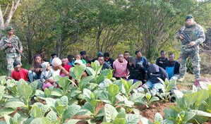 Detienen a 23 haitianos indocumentados en zona boscosa de Dajab&oacute;n