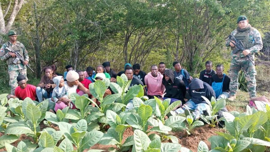 Detienen a 23 haitianos indocumentados en zona boscosa de Dajab&oacute;n