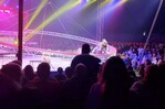 Un tigre salta de la arena al público durante espectáculo circense en el sur de Rusia Un tigre salta de la arena al público durante espectáculo circense en el sur de Rusia