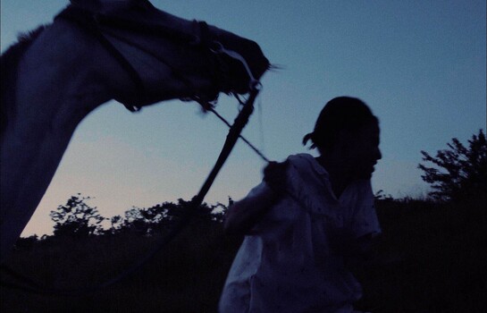Corto dominicano Caballo blanco: dos premios en 21 Islands International Short Film Festival en NY