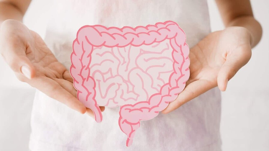 La microbiota intestinal puede revelar el riesgo de padecer párkinson