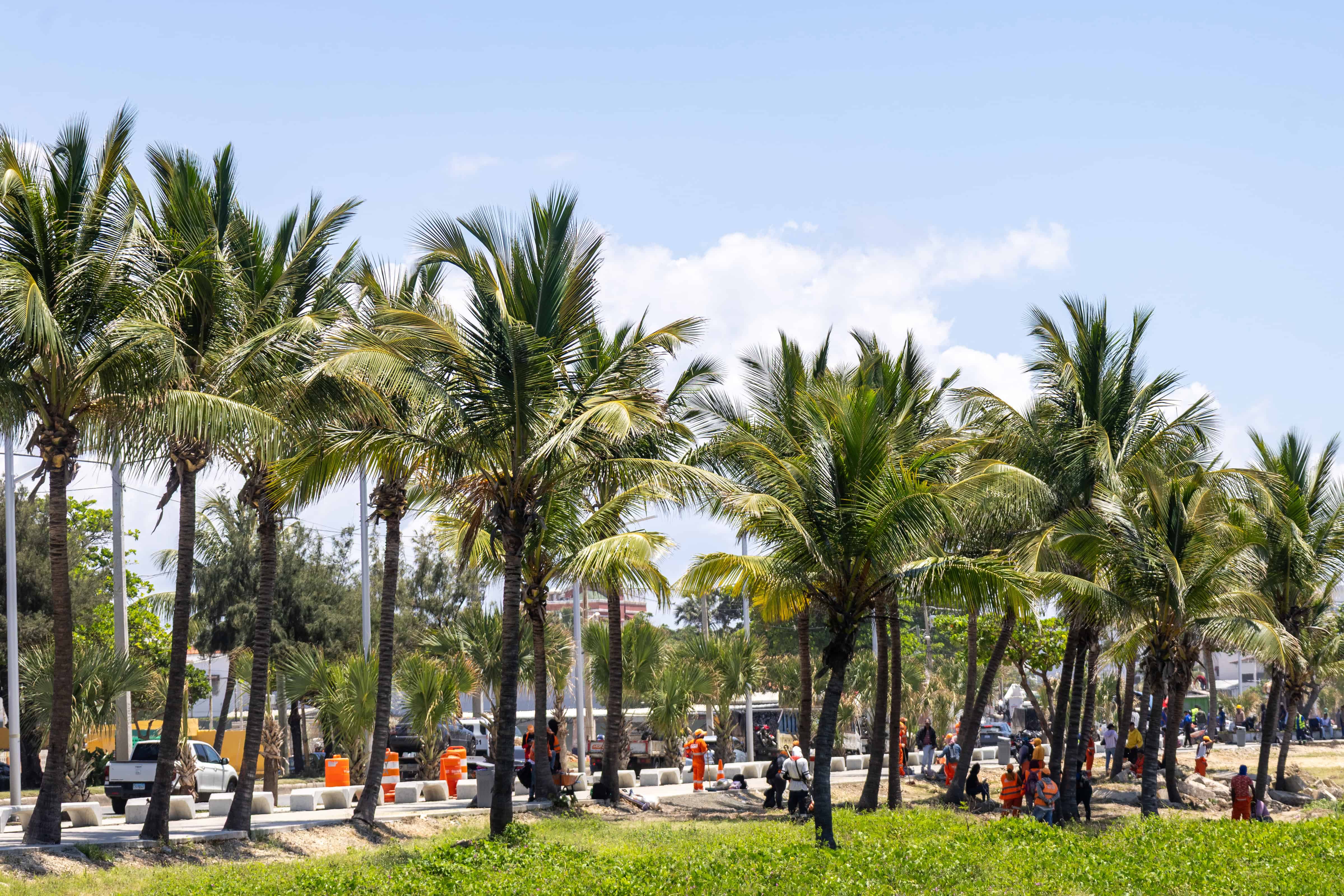 El arbolado es otro de los atractivos.