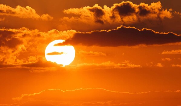 Recrudecimiento de episodios de calor extremo lleva a la agricultura mundial al l&iacute;mite