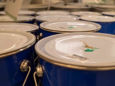 Guerra encarece precios de preservativos, pinturas y varillas en RD