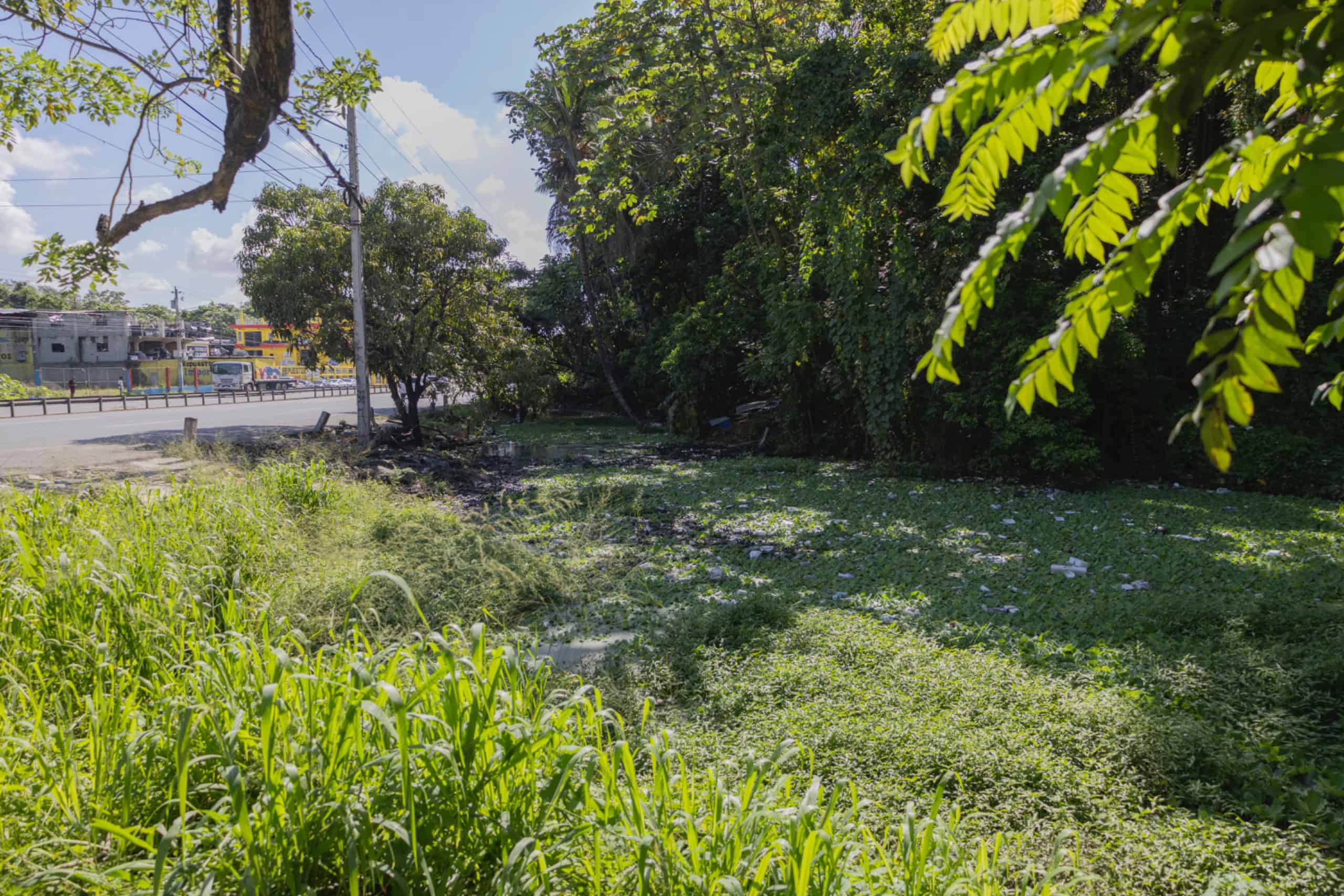 Escena del accidente en la autopista 6 de Noviembre.