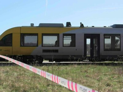 Seis migrantes muertos en tren Laredo por tráfico de personas