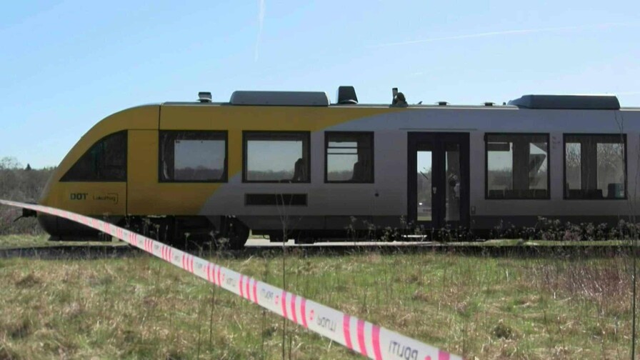 Seis fallecidos dentro de un tren en la frontera de EE. UU. eran de M&eacute;xico y Honduras