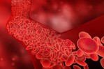 Colesterol, un factor silencioso que impacta la salud cardiovascular Colesterol, un factor silencioso que impacta la salud cardiovascular