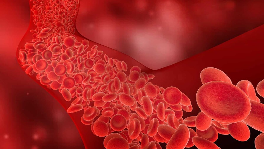 Colesterol, un factor silencioso que impacta la salud cardiovascular
