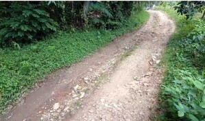 Vivir sin agua y sin calles: la dura realidad de San Francisco, en comunidad de Hato Damas