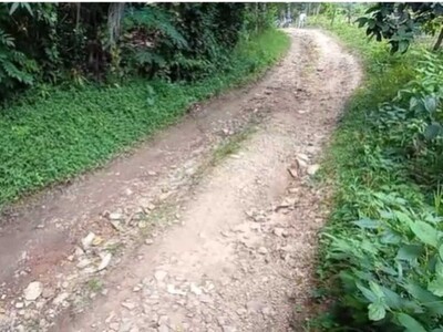 Problemas de agua potable y caminos intransitables en Hato Damas