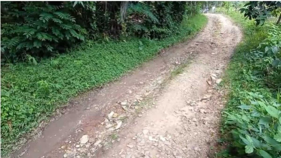 Vivir sin agua y sin calles: la dura realidad de San Francisco, en comunidad de Hato Damas