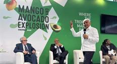 Rep&uacute;blica Dominicana exhibe su oferta agroexportadora en Macfrut 2026