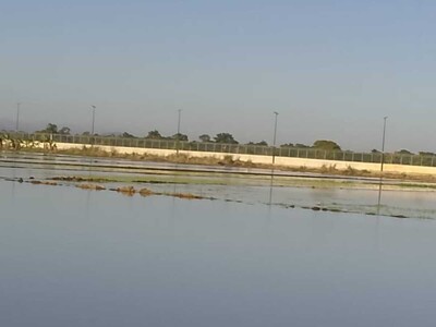Productores agrícolas en Saladillo sufren por inundación de arroz