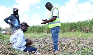 El Gobierno refuerza acciones para erradicar el trabajo infantil