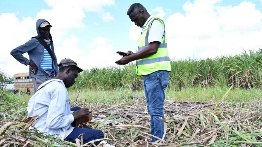 El Gobierno refuerza acciones para erradicar el trabajo infantil