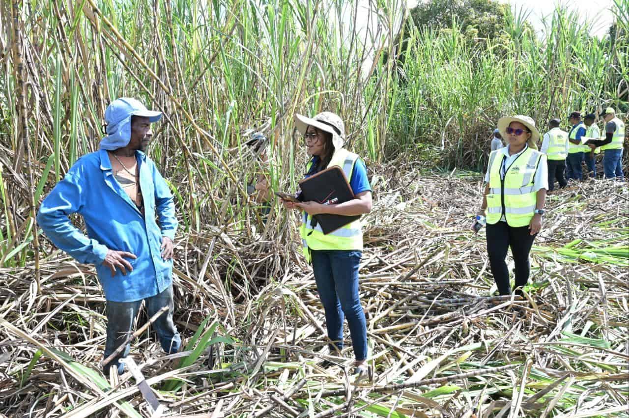 Inspecciones en el sector agr&iacute;cola.