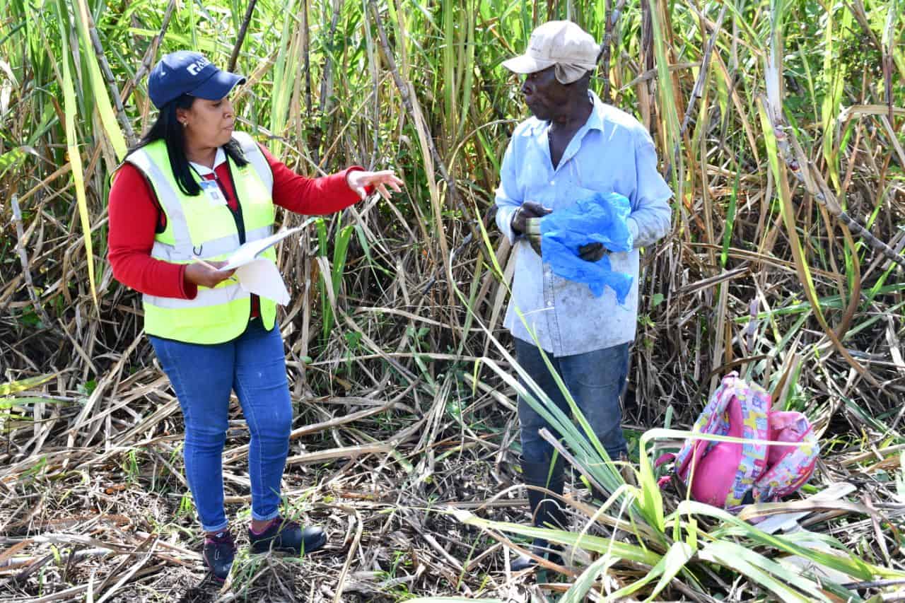 Inspecciones en el sector agr&iacute;cola.
