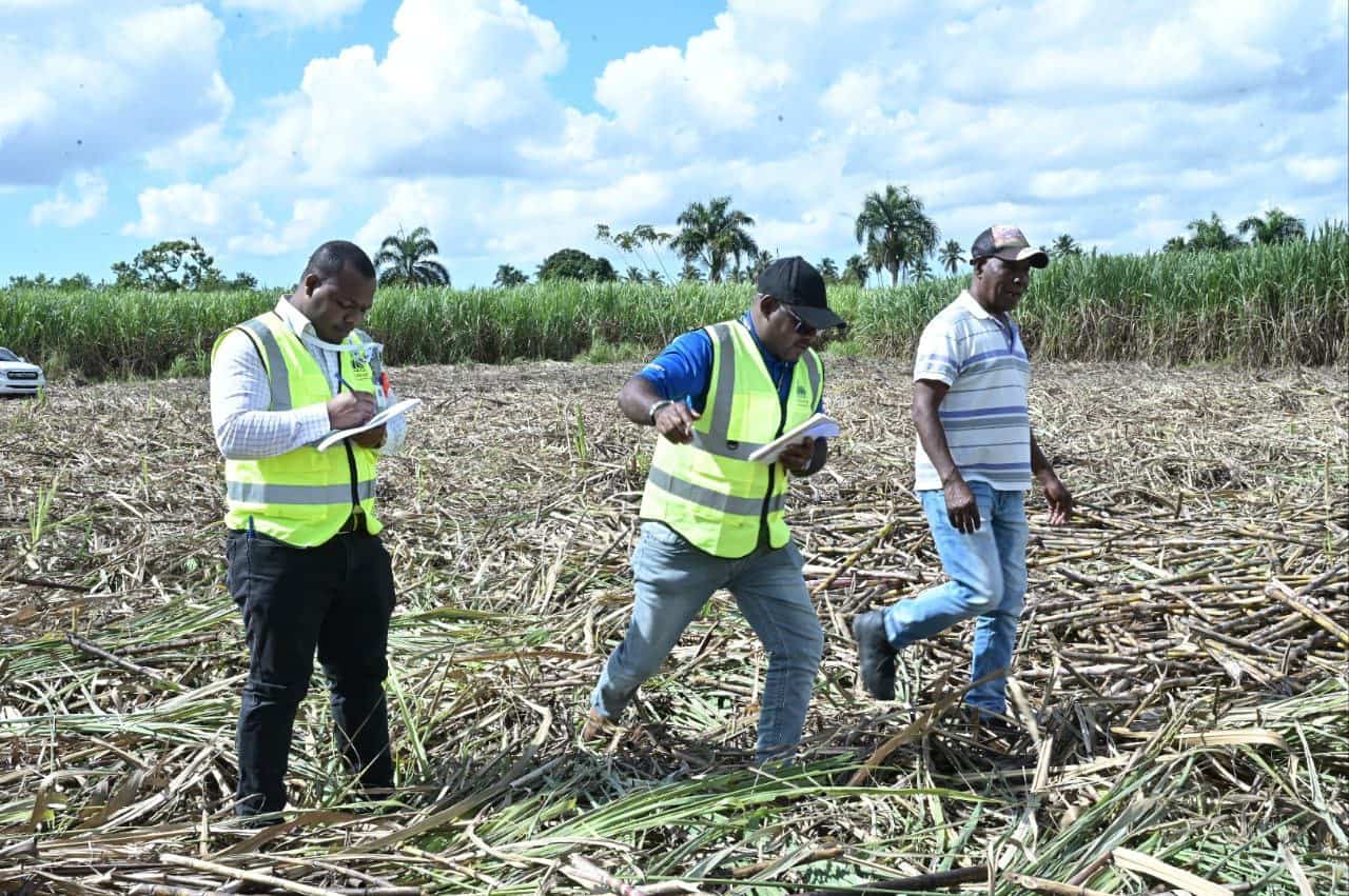 Inspecciones en el sector agr&iacute;cola.