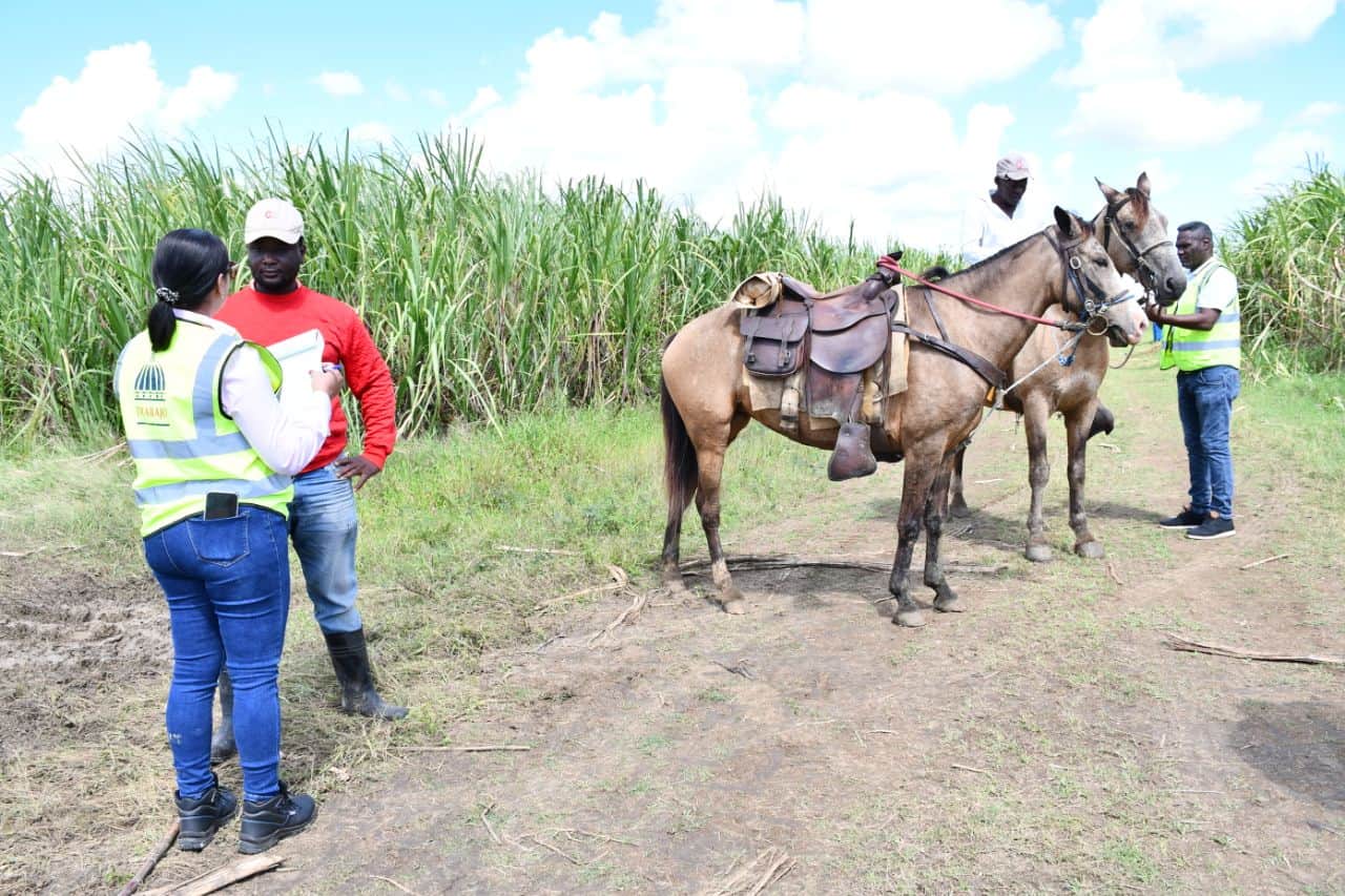 Inspecciones del Ministerio de Trabajo en el sector agr&iacute;cola.