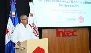 Desarrollan tecnolog&iacute;a para convertir el sargazo en productos industriales