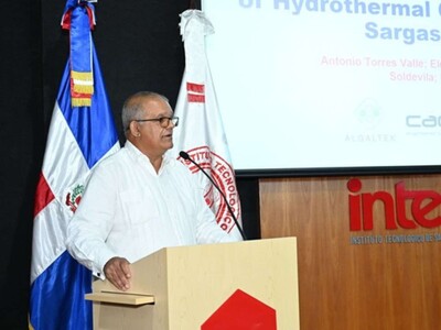 Desarrollan tecnología para obtener energía del sargazo