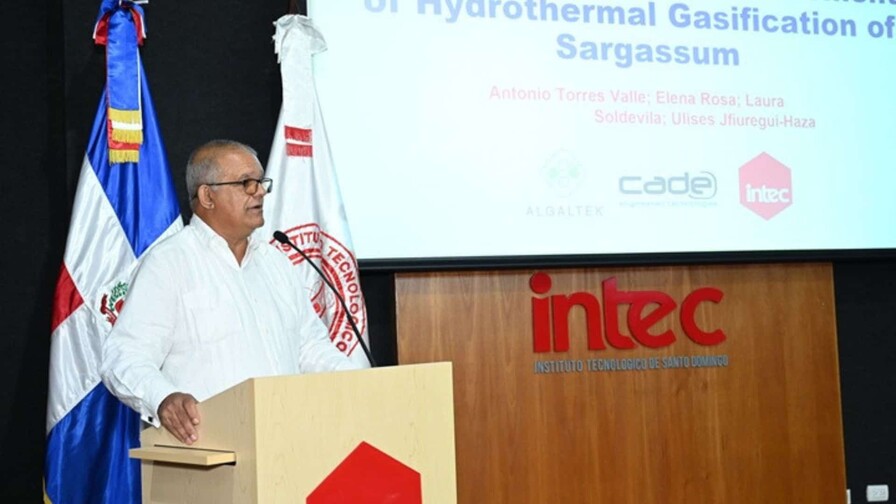 Desarrollan tecnolog&iacute;a para convertir el sargazo en productos industriales