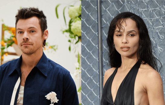 Harry Styles y Zo&euml; Kravitz se comprometen ocho meses despu&eacute;s de ser vistos juntos por primera vez