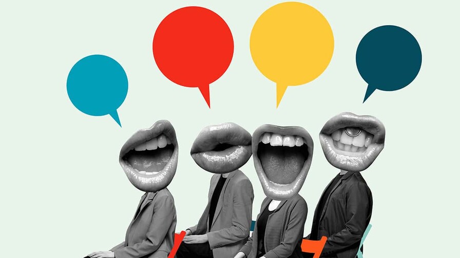 El periquito de hablar dominicano