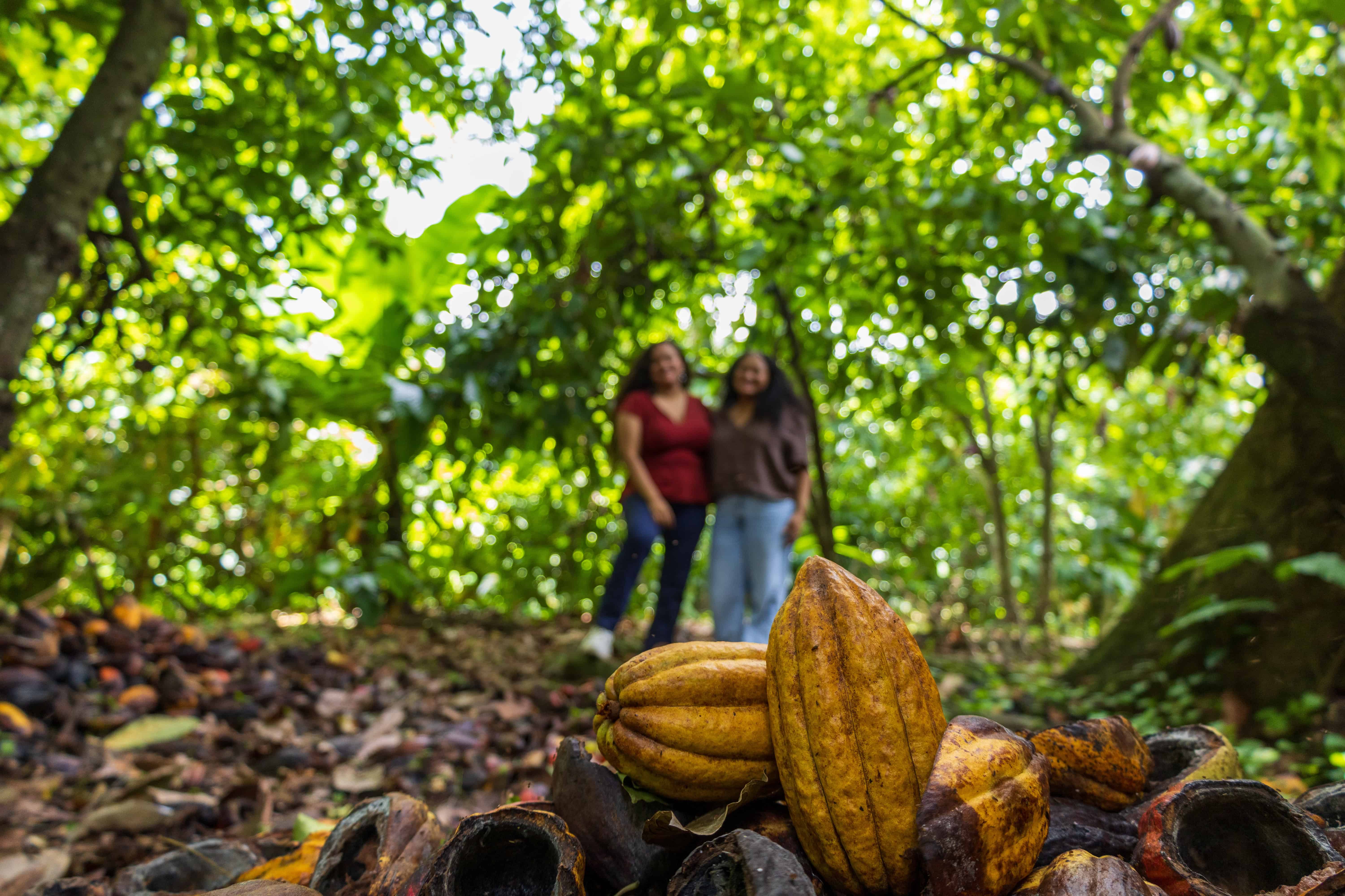 Las hermanas Erika y Janett Liriano, que est&aacute;n llevando el cacao del pa&iacute;s al mundo<br>