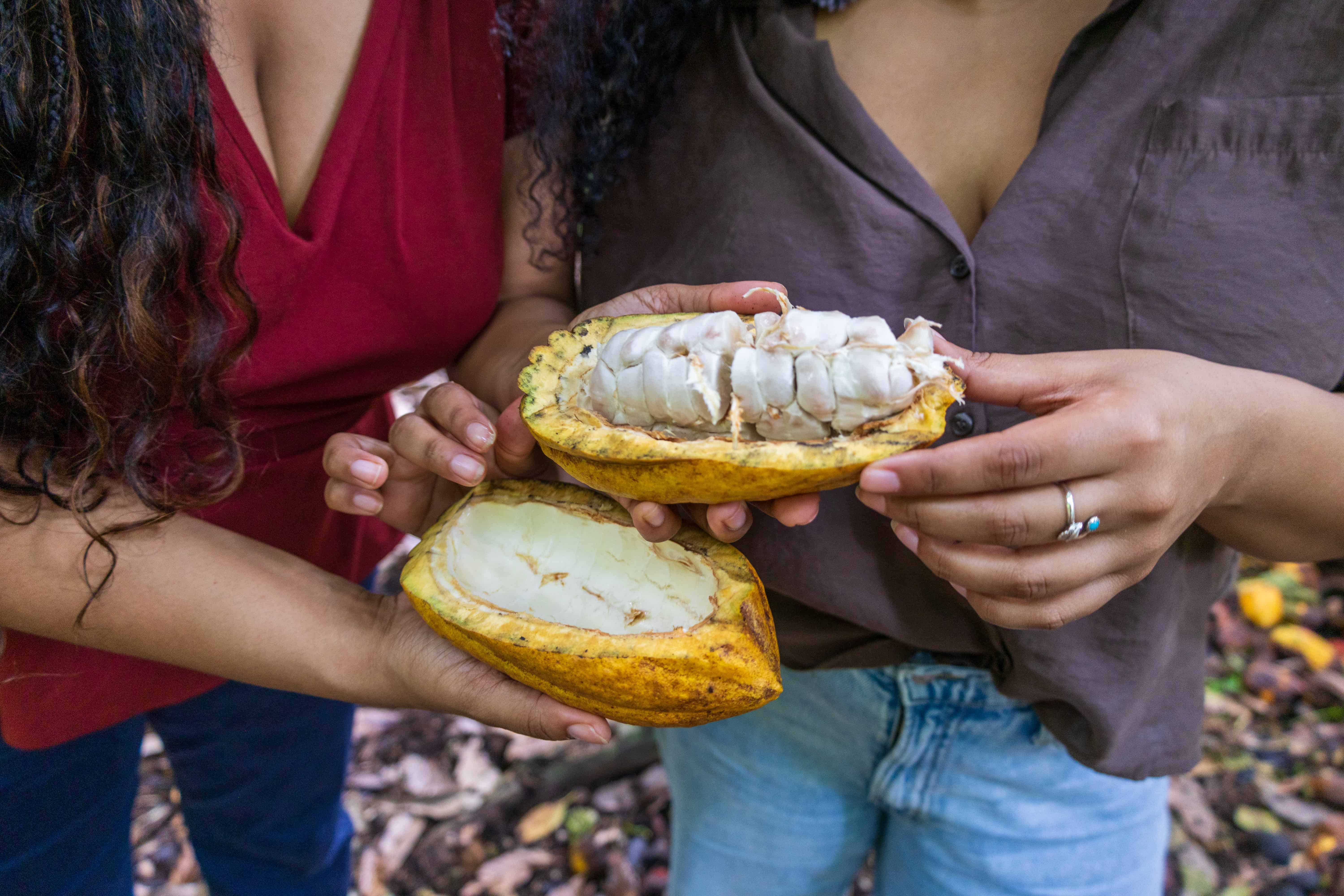 Las hermanas Erika y Janett Liriano, que est&aacute;n llevando el cacao del pa&iacute;s al mundo