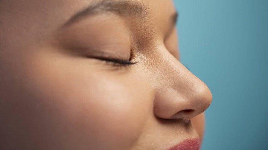 Crean el primer mapa de los receptores olfativos de la nariz, clave para futuras terapias