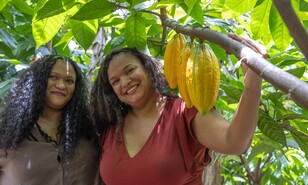 De Australia a Oriente Medio: las hermanas dominicanas que llevan el cacao del pa&iacute;s al mundo