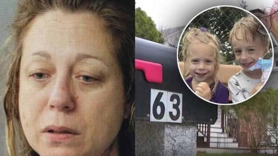 Madre en Massachusetts admite haber estrangulado a sus hijos durante disputa por la custodia