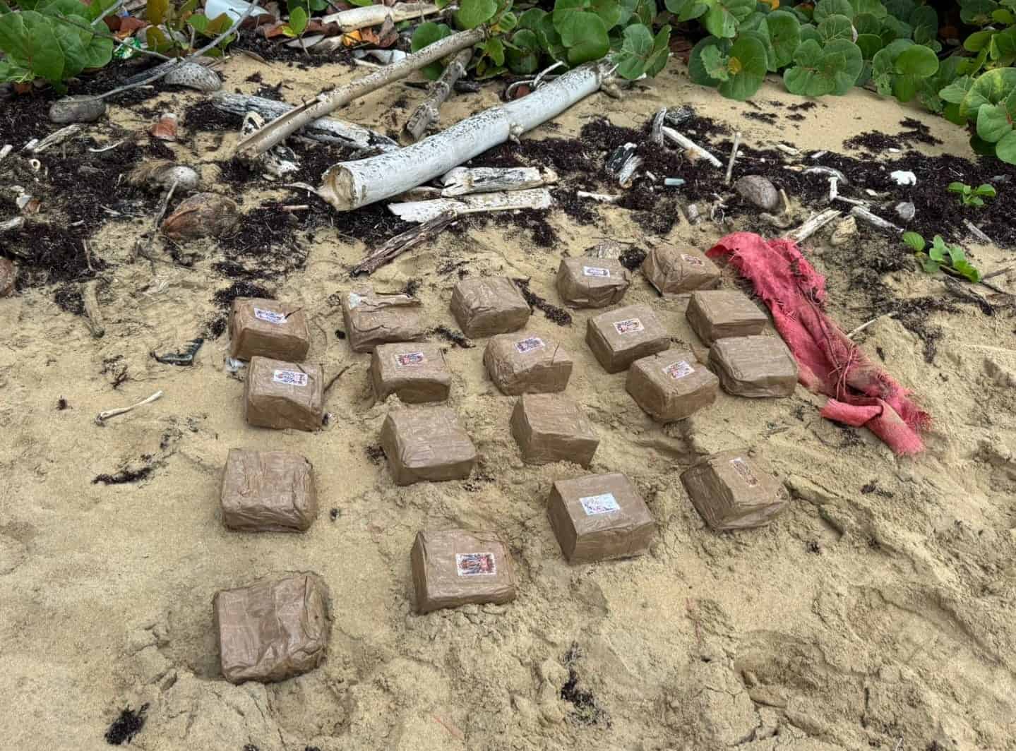 19 pacas de hach&iacute;s incautadas en Miches.