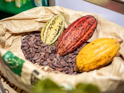 El valor de la confianza y el cacao de Hato Mayor