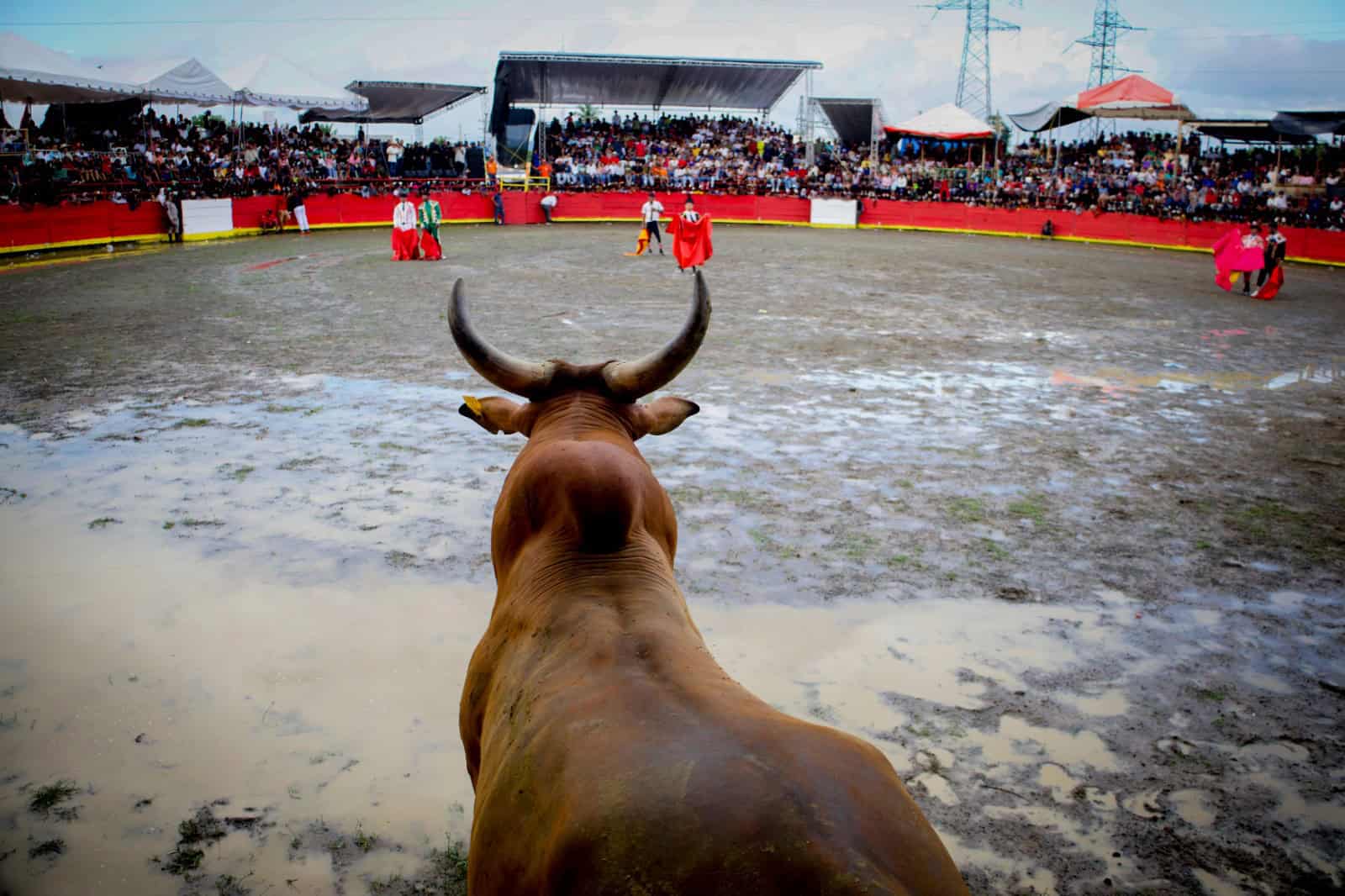 [object HTMLTextAreaElement]