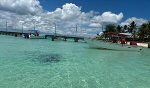 Bayah&iacute;be distinto: la ruta que pasa por ca&ntilde;averales y culmina en Isla Saona