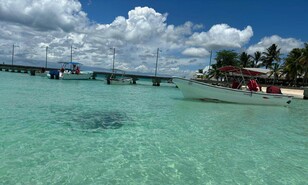 Bayah&iacute;be distinto: la ruta que pasa por ca&ntilde;averales y culmina en Isla Saona
