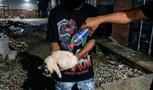 MP solicita prisi&oacute;n preventiva para dos de los detenidos por incendiar a un gato en Sabana Perdida