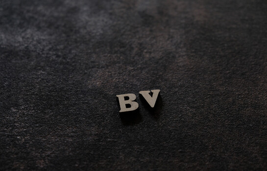 &laquo;V de vaca&raquo; y &laquo;B de burro&raquo;