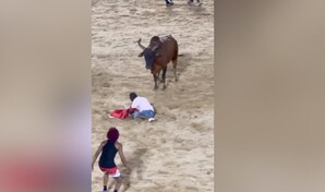 Hombre es embestido siete veces por un toro durante corridas en El Seibo