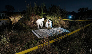 Cuatro personas asesinadas en una masacre en la ciudad colombiana de C&uacute;cuta