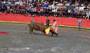 Venta de m&aacute;s de 3,500 entradas desbordan capacidad del redondel durante patronales en El Seibo