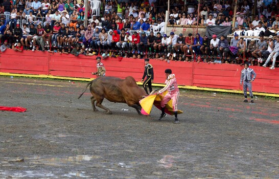 Venta de m&aacute;s de 3,500 entradas desbordan capacidad del redondel durante patronales en El Seibo