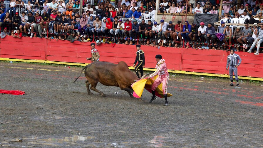 Venta de m&aacute;s de 3,500 entradas desbordan capacidad del redondel durante patronales en El Seibo
